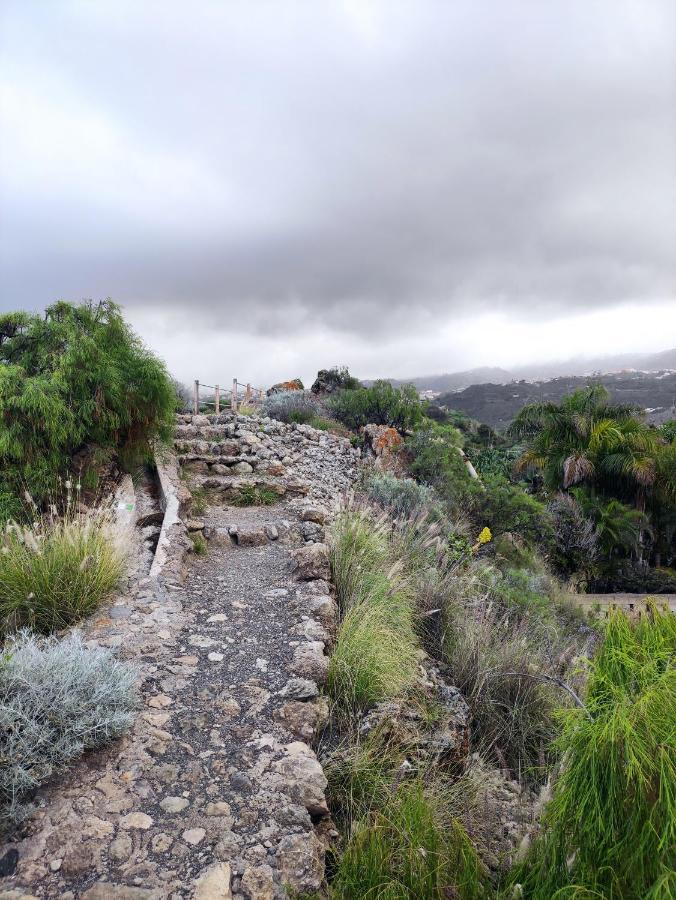 Apartmán La Casita Del Sendero La Guancha Exteriér fotografie